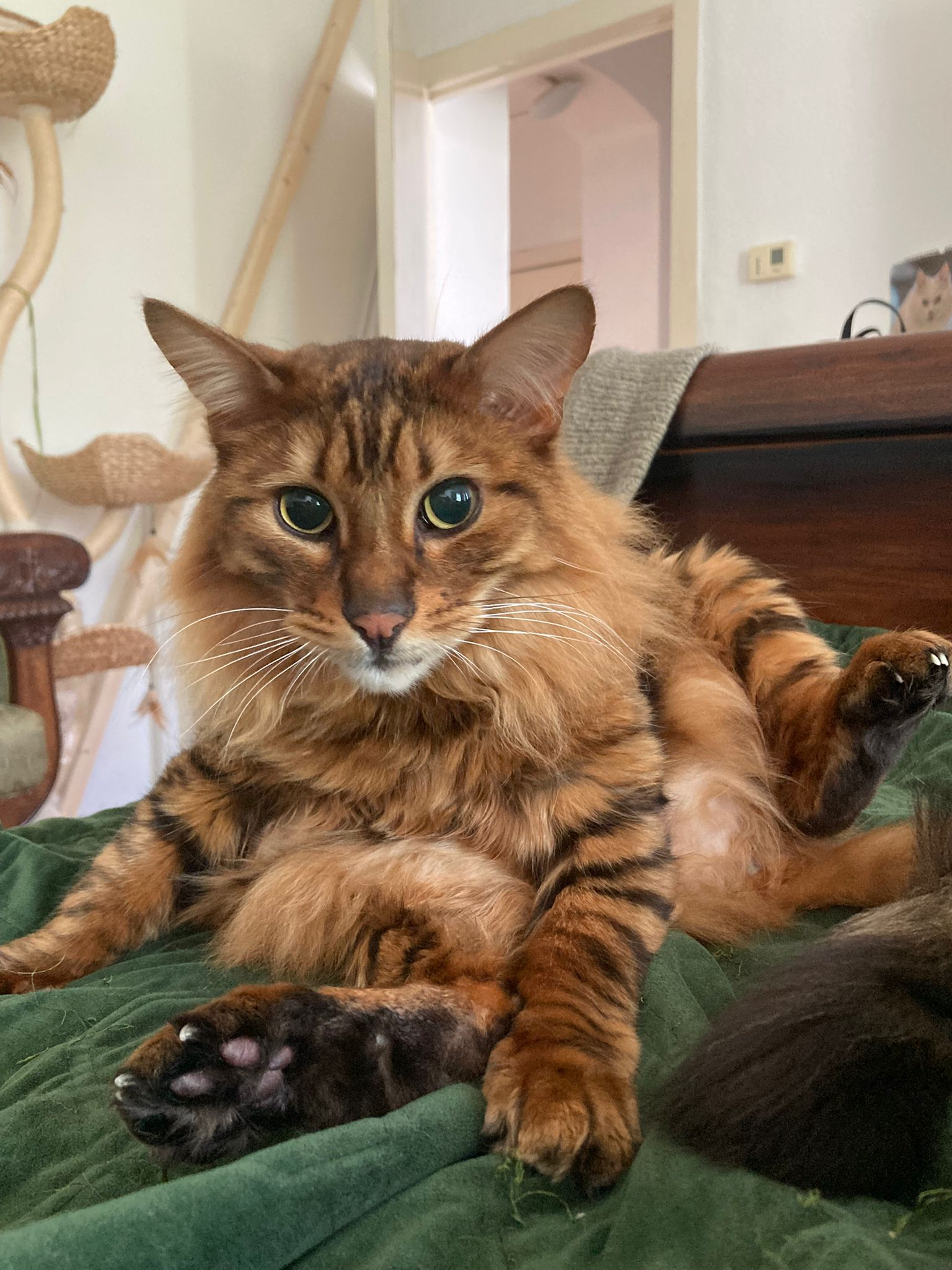 rudi2