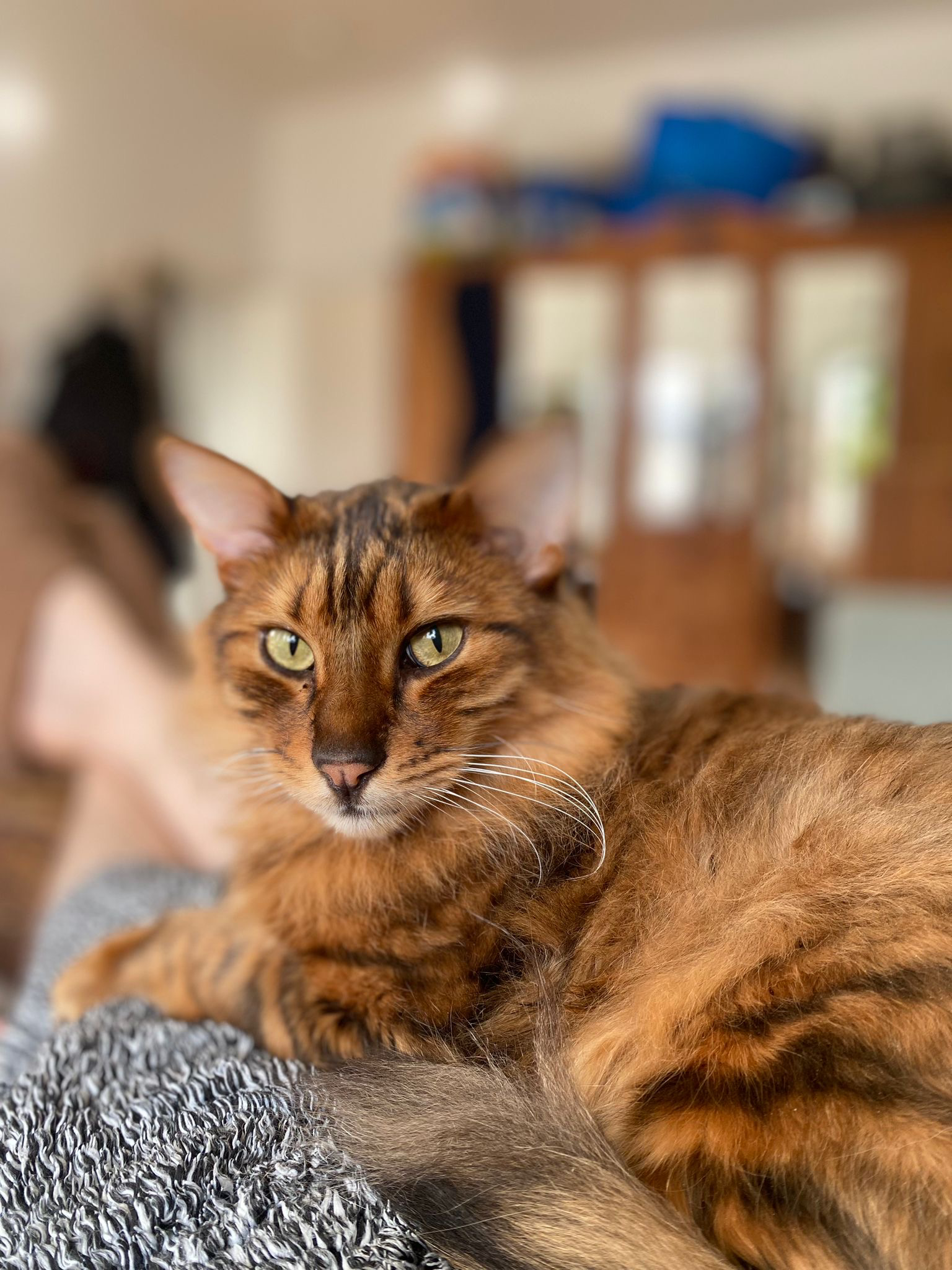 rudi1